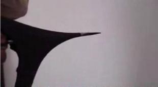建筑建材領(lǐng)域技術(shù)轉(zhuǎn)讓與開發(fā) 引氣劑、外墻彈性膩?zhàn)臃?、水泥脫模劑?yīng)用前景